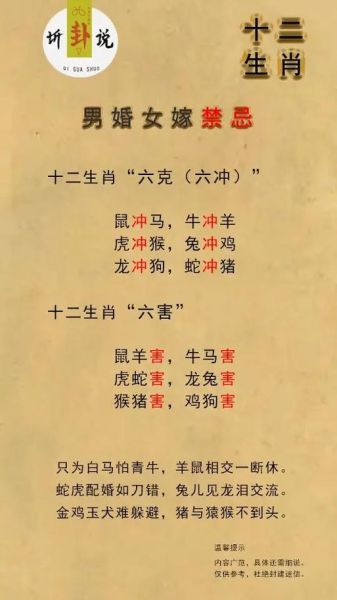 配偶属相大忌是什么生肖（配偶属相大忌是什么生肖呢）