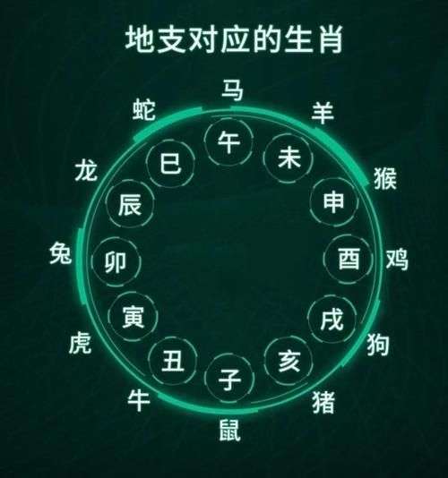 十二地支的生肖属相（十二地支对应哪些生肖）