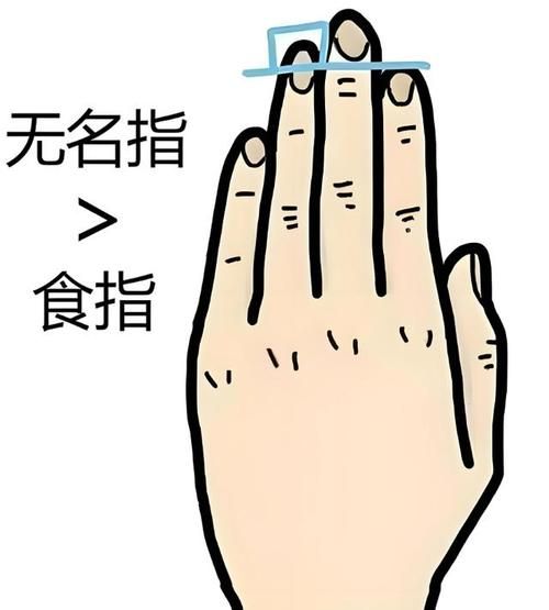 食指最佳生肖属相图片（食指手相十二生肖图片大全📷）