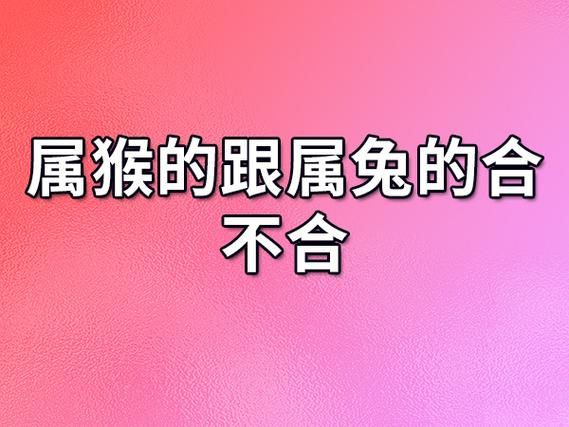 生肖兔和生肖猴属相相合吗（生肖兔和属猴的合不合婚）