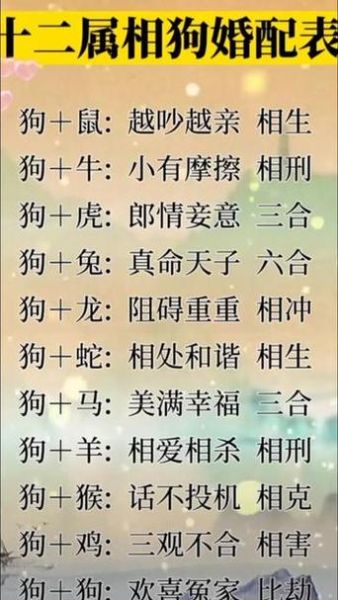 生肖狗合属相（生肖狗和什么属相最配）