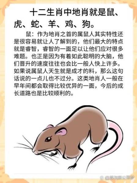 生肖属相朝向（生肖属相朝向吉凶大全🐭🐮🐯）