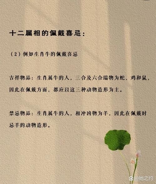 生肖马和生肖狗属相合吗