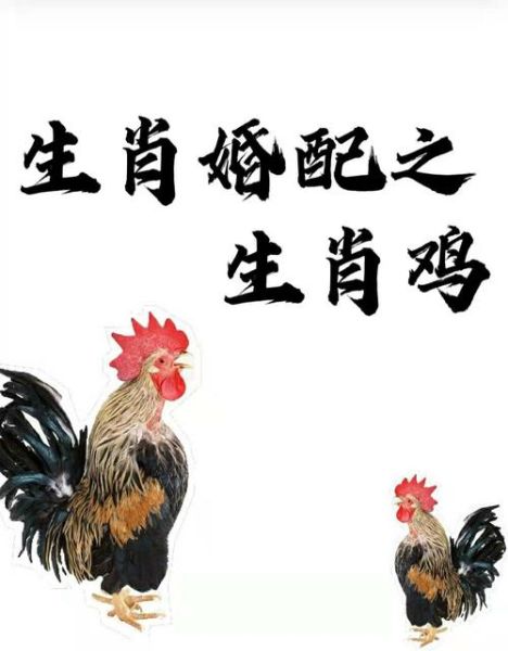 生肖属相与情人关系（属鸡找什么生肖最合适）