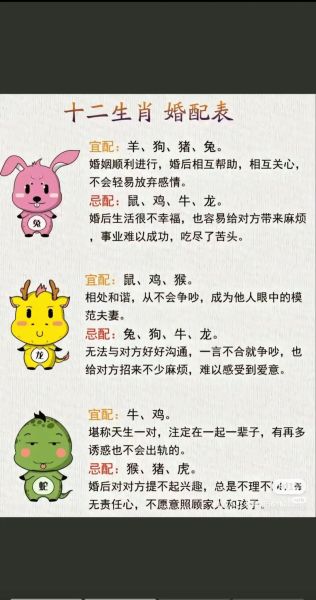 生肖血型属相（生肖血型属相匹配查询大全）