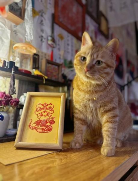 生肖属相摆台图片（生肖属相摆台图片大全）