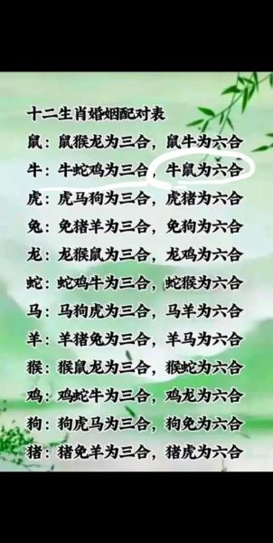 生肖鸡的朋友属相（生肖鸡和哪些属相最合）