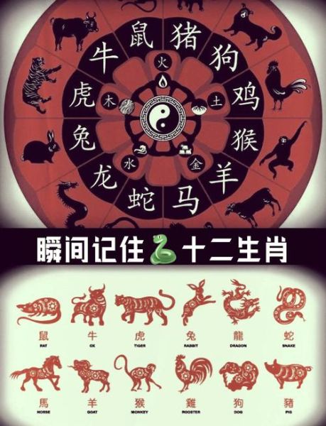 生肖属相的排序