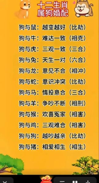 和狗生肖相合的属相(狗和什么生肖最合?新手速查六合表)