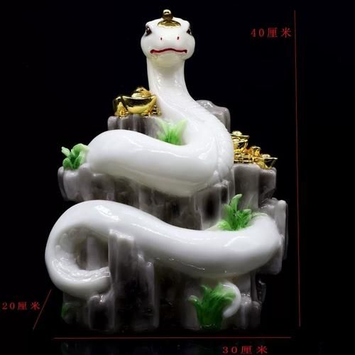 黑蛇属什么生肖属相