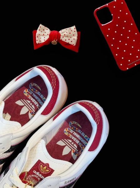 生肖红鞋属相（生肖红鞋属相禁忌有哪些）