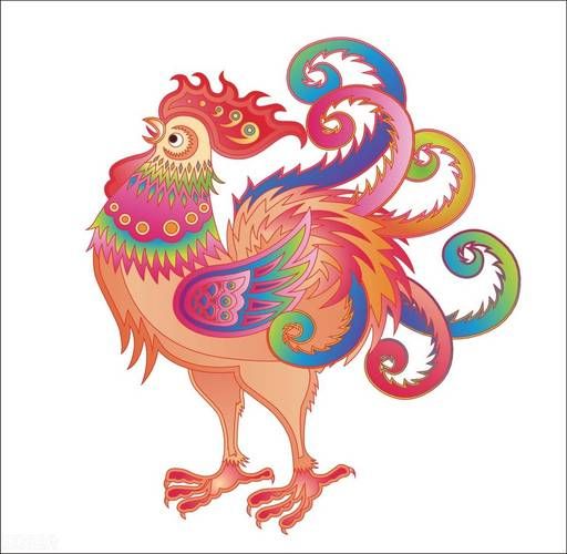 生肖鸡对应什么属相（生肖鸡对应什么属相冲突）