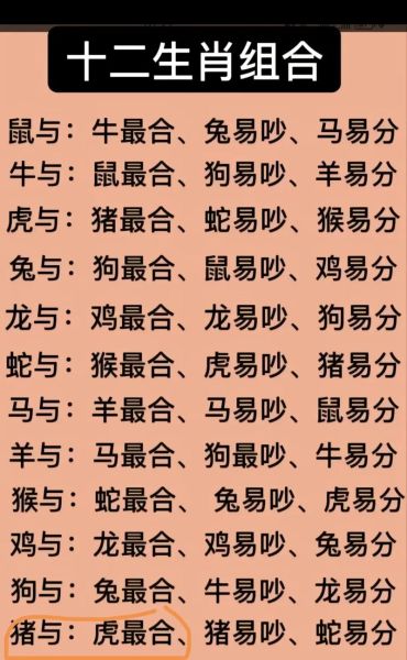 生肖虎的属相和趣事（生肖虎有哪些趣事）