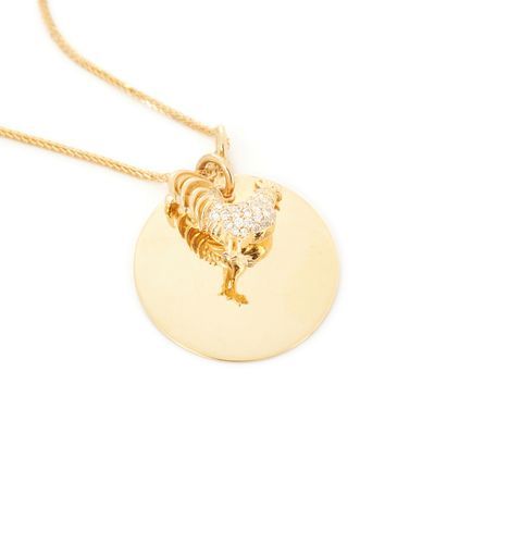 属相鸡生肖牌金（鸡年戴金生肖牌怎么挑😆）