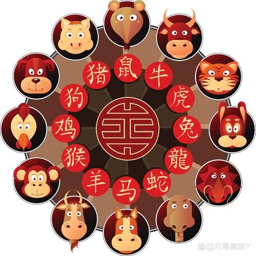 马属于什么家族生肖属相（马属于马科家族生肖属相）