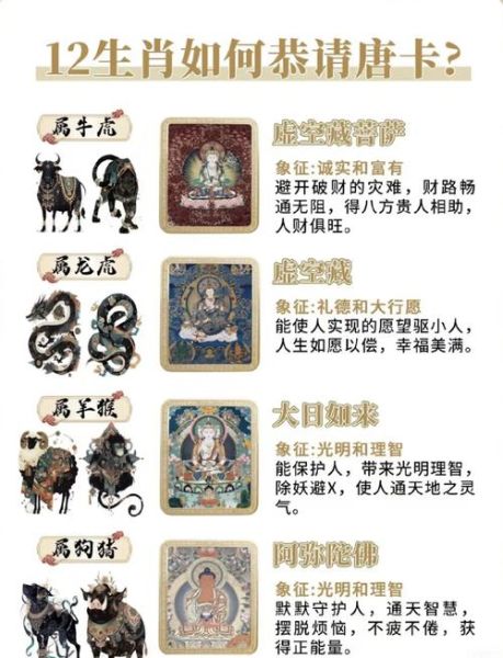生肖卡要不要换属相（生肖卡到底要不要换属相？🤔）