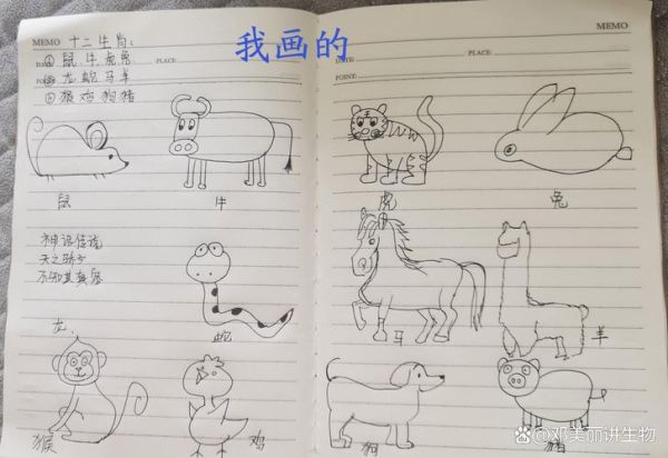 生肖属相绘画出来（生肖属相简易绘画教程）