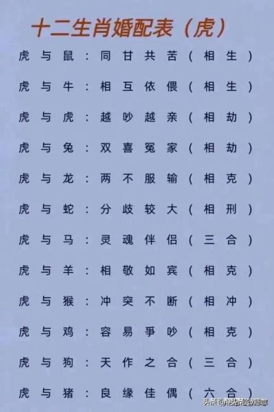 表打什么生肖属相