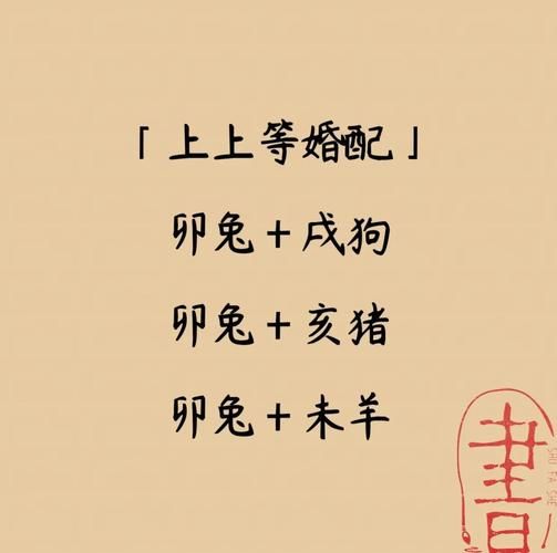 生肖兔配对属相婚配（生肖兔配对属相婚配表查询）