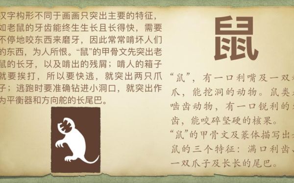 生肖属相鼠的故事（生肖鼠的由来与民间传说）