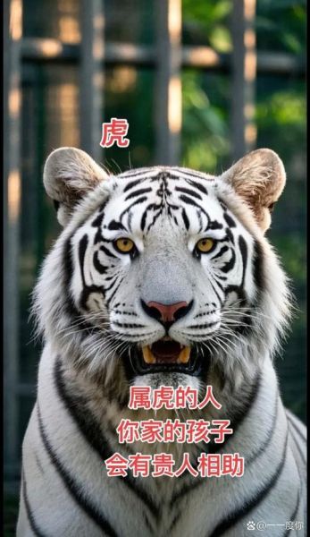 生肖虎女最怕什么属相男（生肖虎女最避开的生肖男是谁😣）