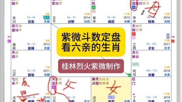 紫微看另一半生肖属相（紫微斗数看配偶属相的3个实用技巧）