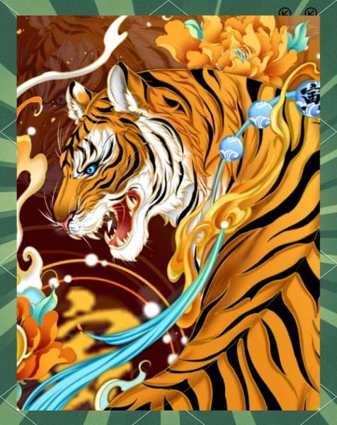 生肖虎后面是什么属相（生肖虎后面是什么生肖）