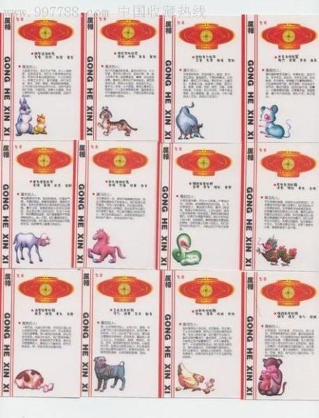 生肖属相书正版（生肖属相书正版购买指南）