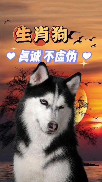 生肖属狗怕什么属相（属狗最怕的三大生肖）