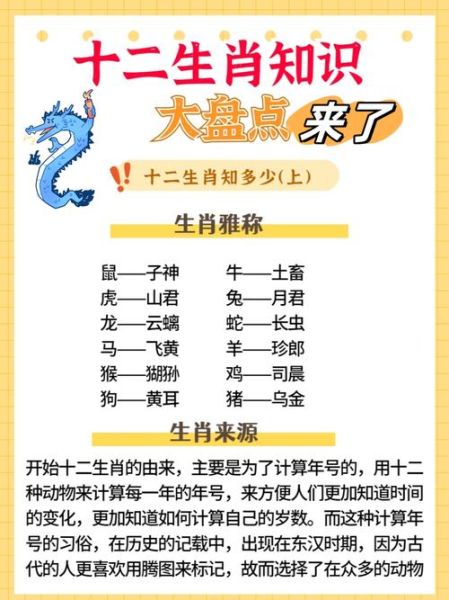 生肖属相讲解图解视频（生肖属相图解视频新手教程🐲）