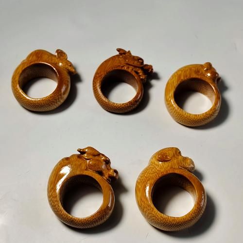 生肖属相讲解图解视频（生肖属相图解视频新手教程🐲）