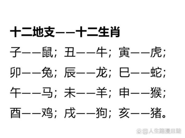 申的属相生肖(申的属相是什么动物)