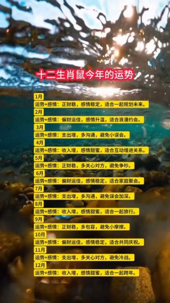 生肖老鼠的克星属相（属鼠的克星是什么生肖）