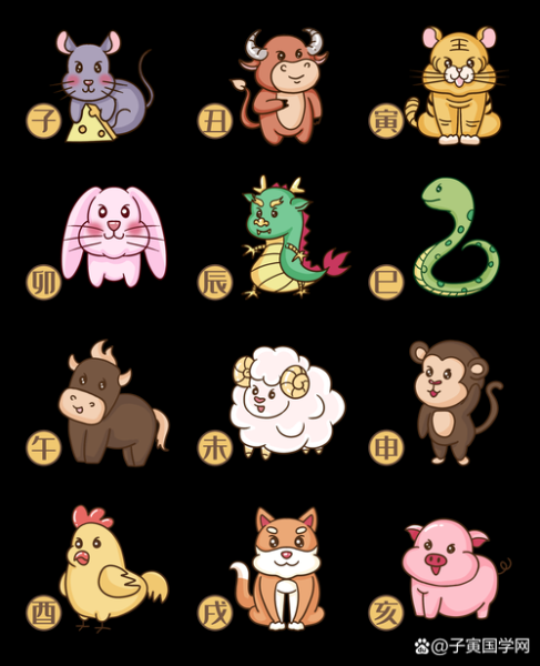属相表十二生肖姐妹（属相表十二生肖姐妹对照表）