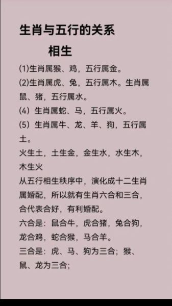木代表哪个属相的生肖(木对应哪个生肖?新手一分钟看懂)