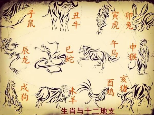 老实本分属相什么生肖