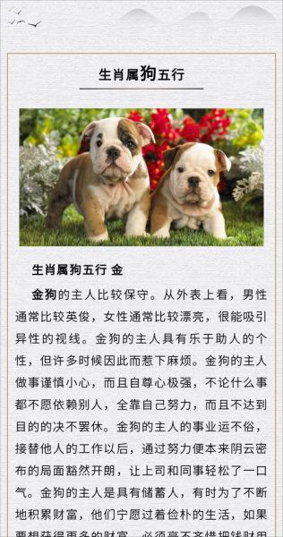 生肖狗跟什么属相克（生肖狗最克什么生肖？速查避坑！）