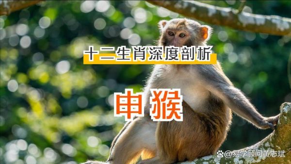 戊申属什么生肖属相（戊申年属什么生肖？看完秒懂申猴！）