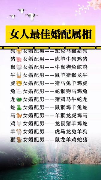 十二生肖属相婚配女（女龙男虎婚配到底合不合？🐉🐯看完秒懂）