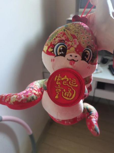 红色毛绒属相是什么生肖（红色毛绒属相是什么生肖详解）