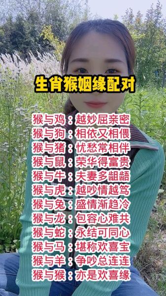 猴属相合什么生肖(属猴最合生肖是哪几个)