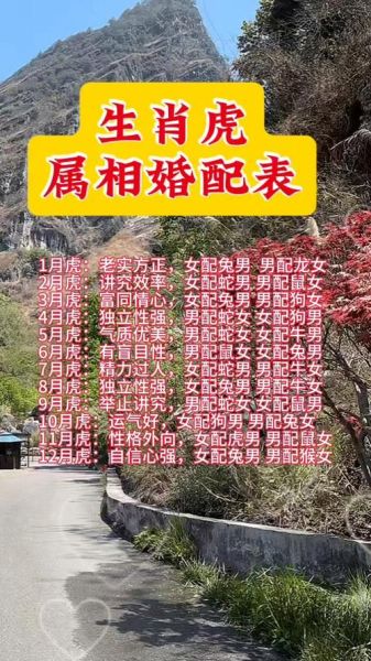 生肖虎配偶属相（生肖虎最佳配偶属相是谁）