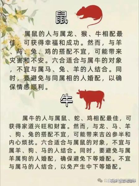 改头换面属相是什么生肖（改头换面是什么生肖答案）