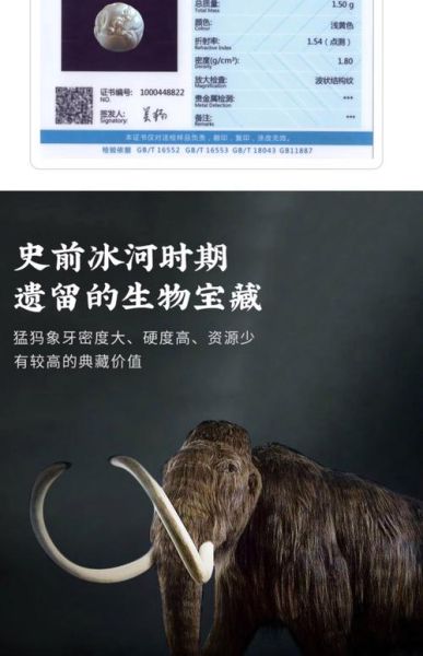 象牙属相十二生肖（象牙生肖代表什么动物🤔）