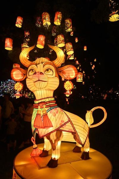 生肖属相夜灯(生肖属相夜灯什么礼物好)