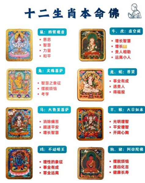 玄奘生肖属相（玄奘生肖属相是什么？小白一看就懂）