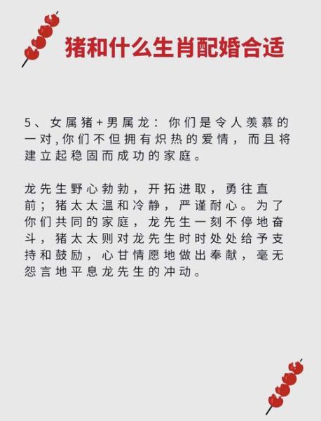 生肖猪最佳配对属相男（生肖猪男最佳婚配属相排行）