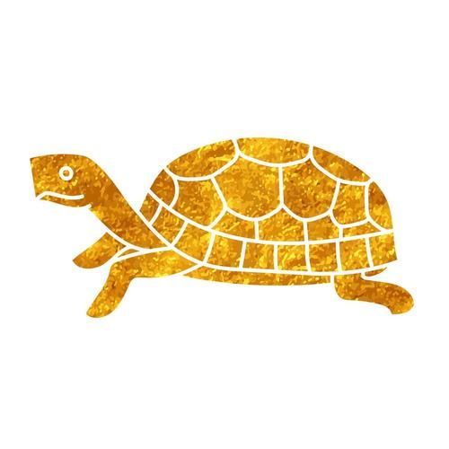 龟属于什么生肖属相(龟为什么不属于十二生肖属相?)