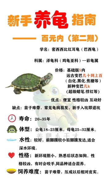 龟属于什么生肖属相（龟为什么不属于十二生肖属相？）