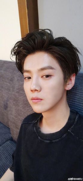 鹿晗是什么生肖属相（鹿晗属什么生肖？新手也能秒懂😎）